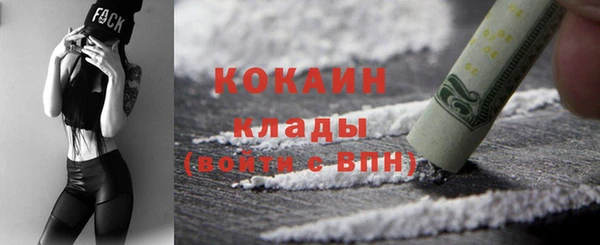 гашик Арсеньев