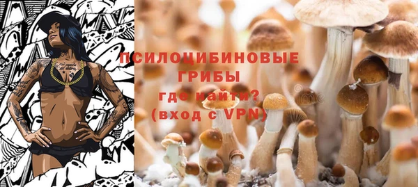 не бодяженный Алзамай