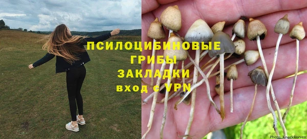 гидра Алексин