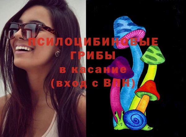 гашик Арсеньев