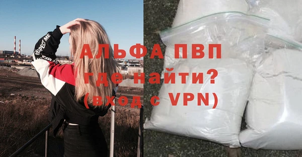 гашик Арсеньев