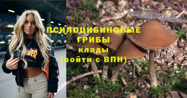 Альфа ПВП Алексеевка
